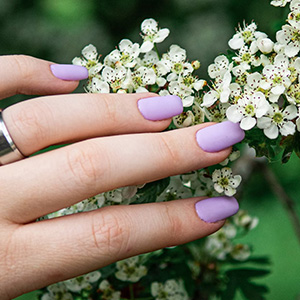 Pro Nail & Spa gallery